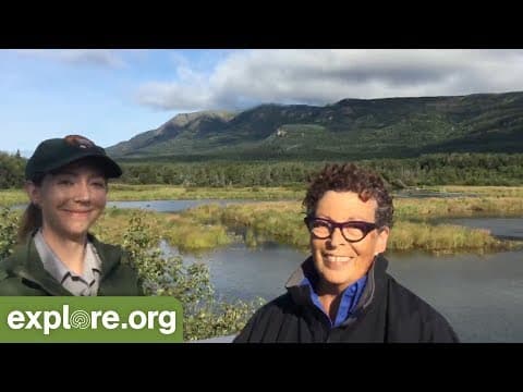 The Katmai Coast - Live Chat