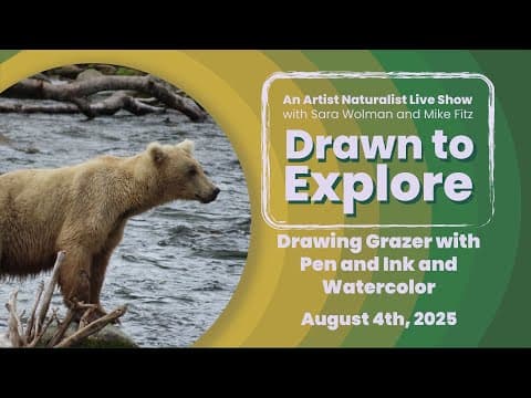 Bear 128 Grazer in Pen & Ink with Watercolor | Drawn to Explore