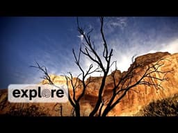 Zen Den - Wild Grand Canyon