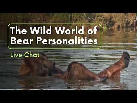 The Wild World of Bear Personalities | Brooks Live Chat