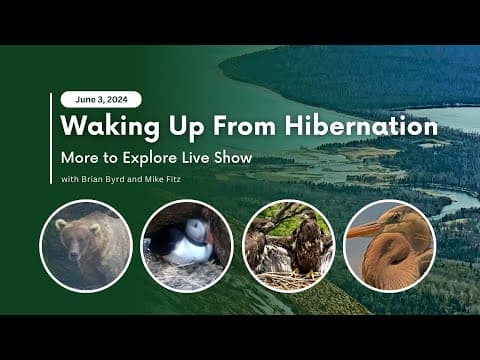 Waking Up From Hibernation | More to Explore Live Show