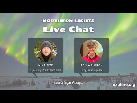 What Are The Northern Lights? | Live Chat Ft. Ron Waldron