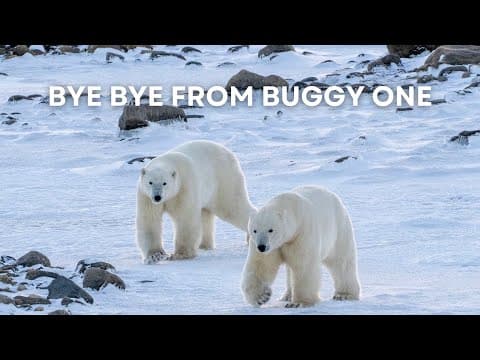 Bye Bye from Buggy One EV | Tundra Connections