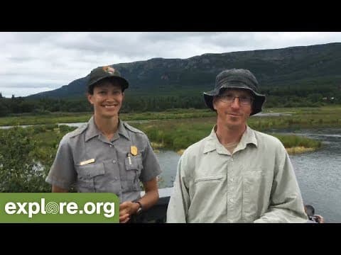 Katmai Bear Monitoring Program - Live Chat