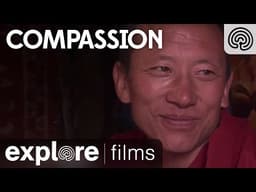 Compassion | Explore Films