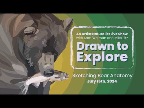 Sketching Bear Anatomy | Drawn to Explore