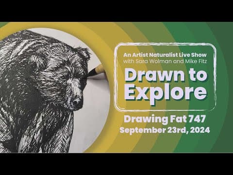 Drawing Fat 747 | Drawn to Explore
