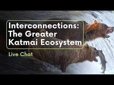 Interconnections: The Greater Katmai Ecosystem | Brooks Live Chat