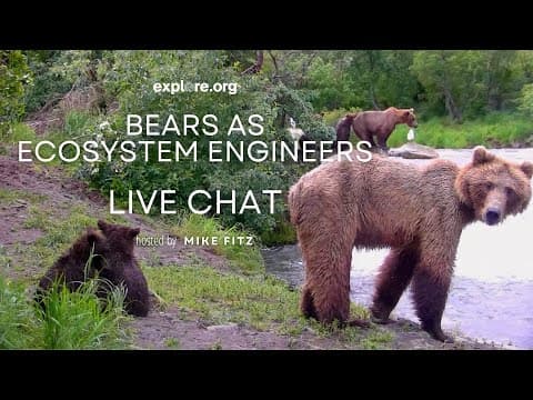 Bears as Ecosystem Engineers | Brooks Live Chat
