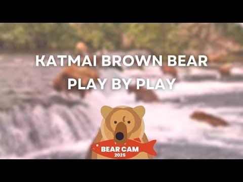 Play by Play 8.14.25 | Brooks Live Chat