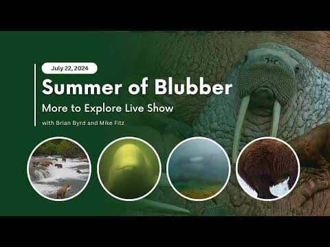 Summer of Blubber | More to Explore Live Show