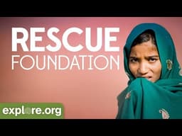 Rescue Foundation | Explore Films