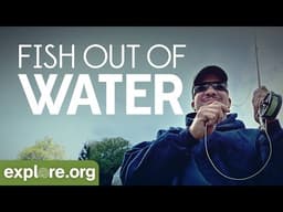 Fish Out of Water | Explore FIlms