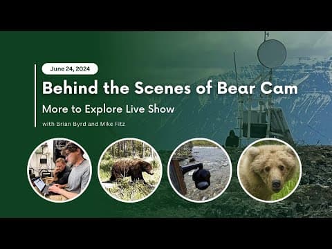 Behind the Scenes of Bear Cam | More to Explore Live Show