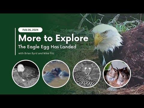 The Eagle Egg Has Landed | More to Explore Live Show