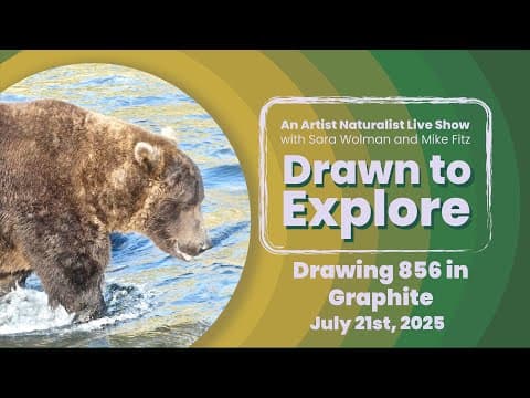 The Dominant Presence: Drawing Bear 856 in Pencil | Drawn to Explore