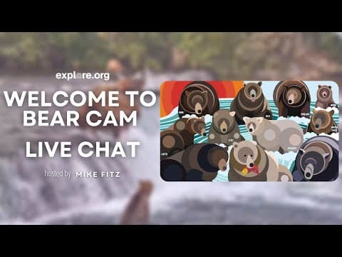 Welcome to Bear Cam 2023 | Brooks Live Chat