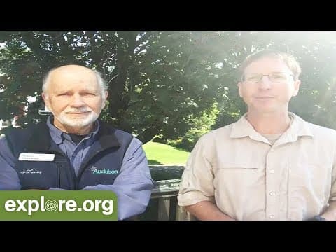 Mike Fitz and Dr. Steve Kress Talk Puffins