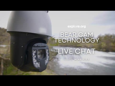 Bear Cam Technology | Brooks Live Chat