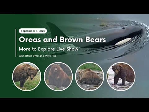 Orcas and Brown Bears | More to Explore Live Show