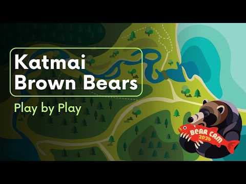 Play by Play 8.25.26 | Brooks Live Chat