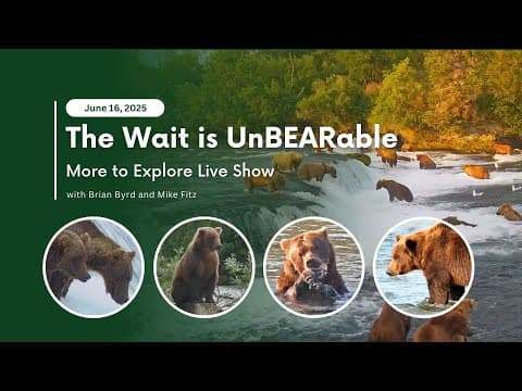 The Wait is UnBEARable | More to Explore Live Show