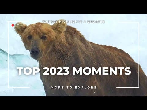 Top 2023 Moments | More to Explore
