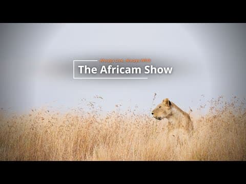 The Africam Show | 12.20.22