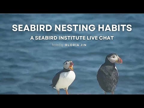 Seabird Nesting Habits | Explore Live Events