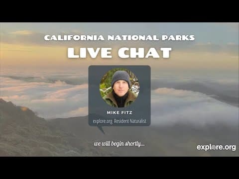 Protecting California National Parks | Live Chat