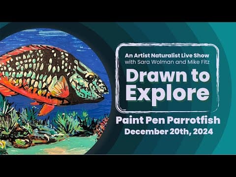 Paint Pen Parrotfish | Drawn to Explore
