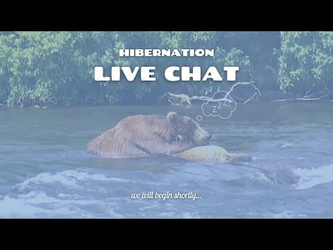 Hibernation In The Animal Kingdom | Live Chat
