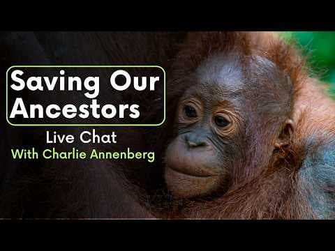 Saving Our Ancestors | Live Chat with Charlie Annenberg