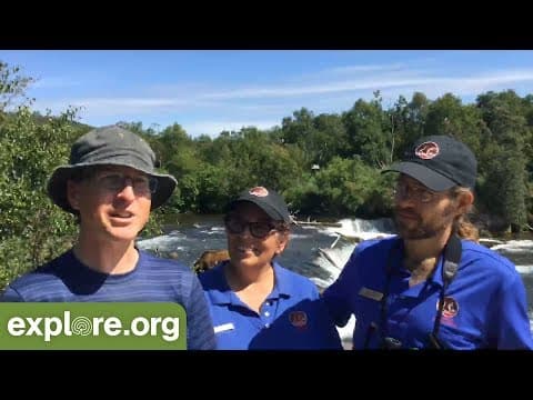 Welcome to Bearcam 2019! - Live Chat