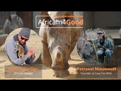 Africam4Good | Rhinos
