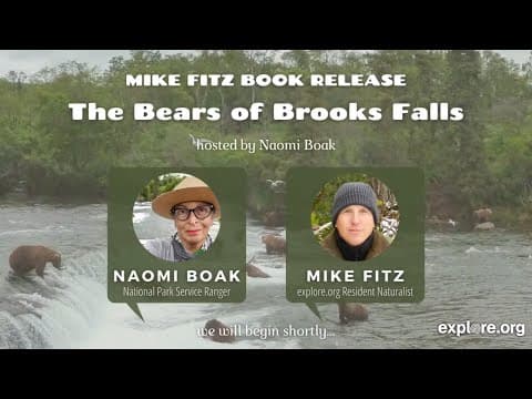 Bears of Brooks Falls Book Release Live Chat by Mike Fitz