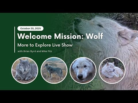Welcome Mission: Wolf | More to Explore Live Show