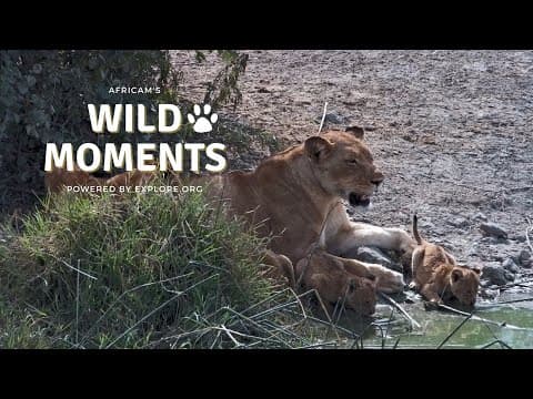 Wild Moments Show with special guest Mike Fitz | March 7