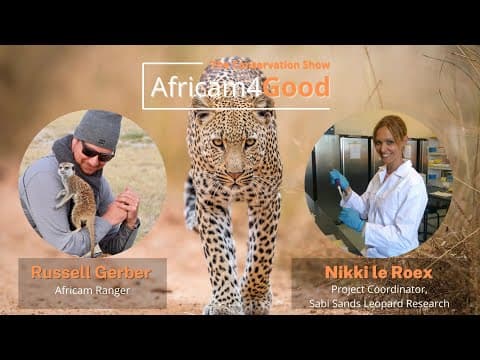 Africam4Good | Leopards with Nikki le Roex