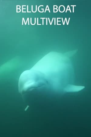 Beluga Boat Multiview