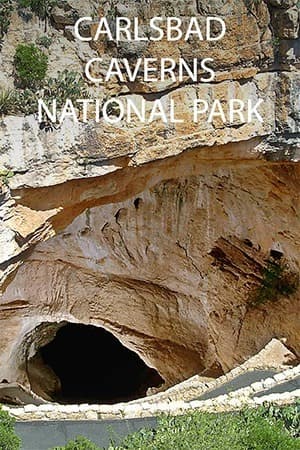 Carlsbad Caverns National Park