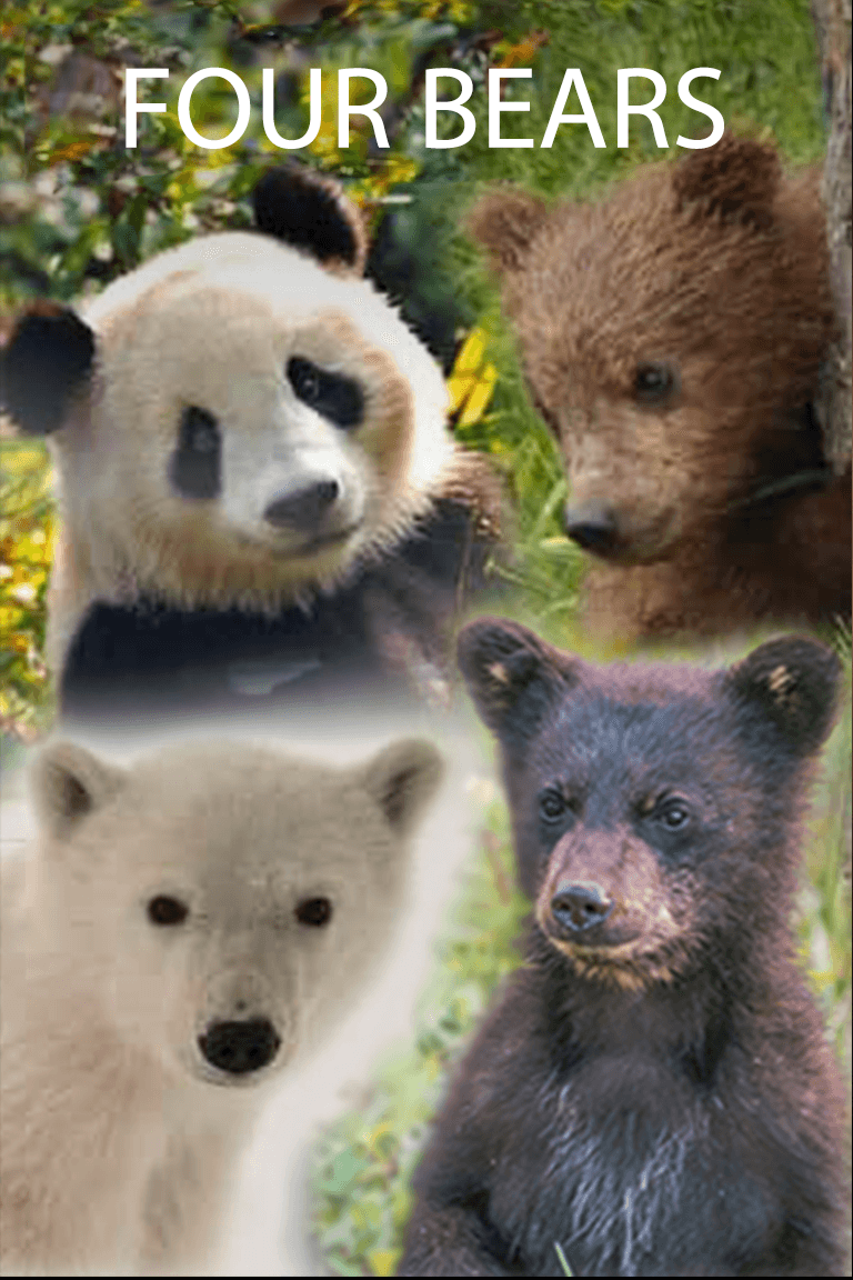 Four Bears