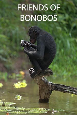 Friends of Bonobos