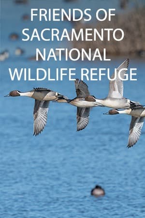 Friends of Sacramento National Wildlife Refuge