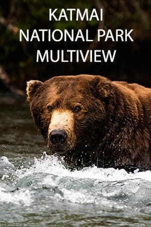 Katmai National Park Multiview