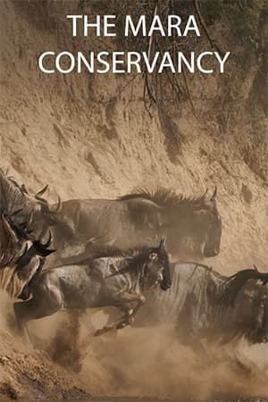 The Mara Conservancy