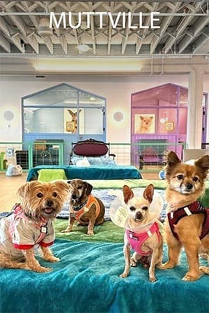 Muttville