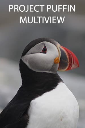 Project Puffin Multiview