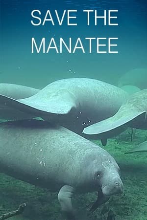 Save The Manatee