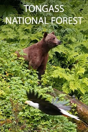 Tongass National Forest